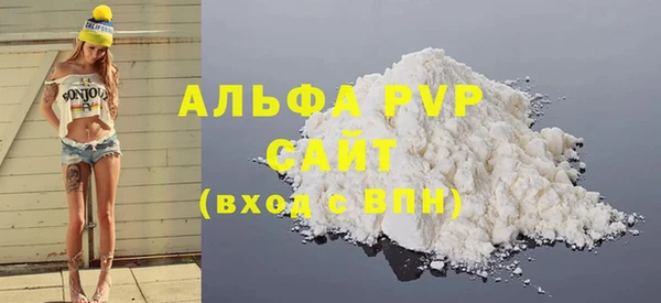 гашик Новозыбков