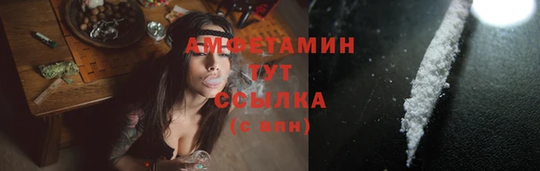 гашик Новозыбков