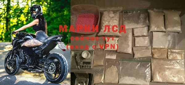 гашик Новозыбков