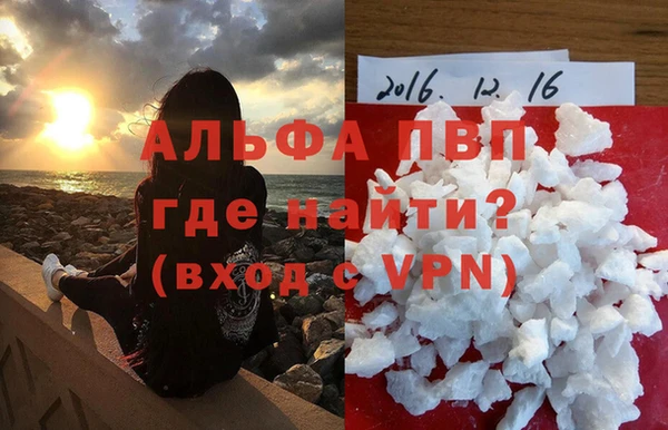 гашик Новозыбков