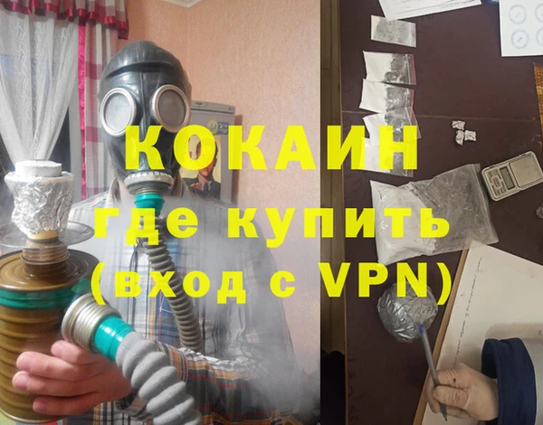 гашик Новозыбков