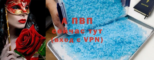гашик Новозыбков