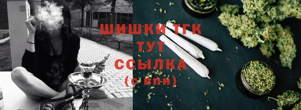 гашик Новозыбков